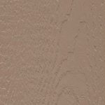 Paint-Buckskin