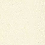 Paint-Navajo-White